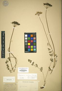 LE 01029815