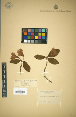 LE 01029874