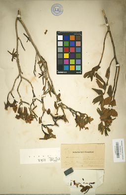 LE 01029875