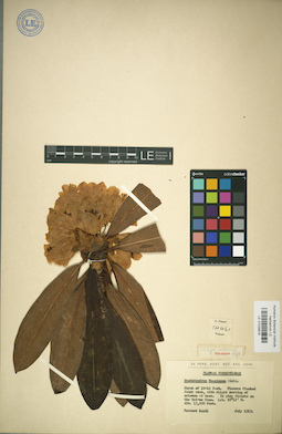 LE 01029878