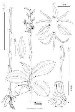 LE 01087317