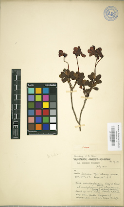 LE 01029879