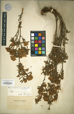 LE 01029880