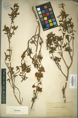 LE 01029881