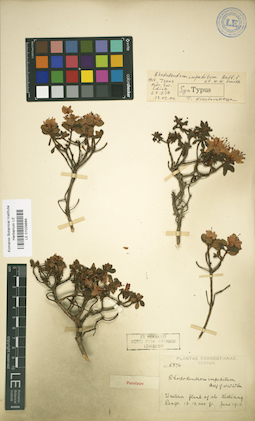 LE 01029889