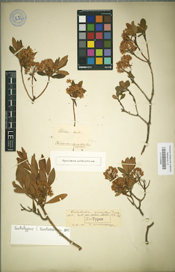 LE 01029896