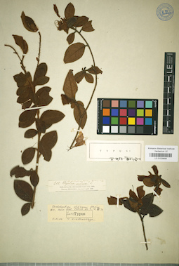 LE 01029898