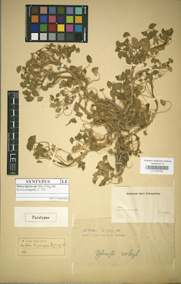 LE 01031022