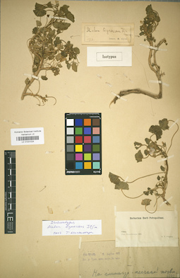 LE 01031024