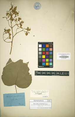 LE 01031025
