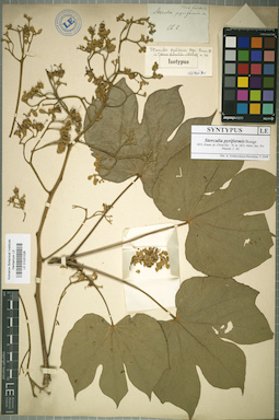 LE 01031026