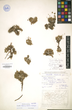 LE 01031030
