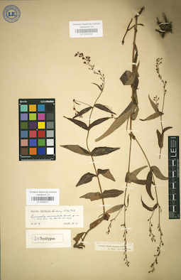 LE 01031032
