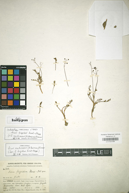 LE 01031056