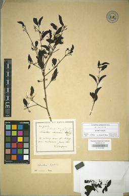 LE 01031060