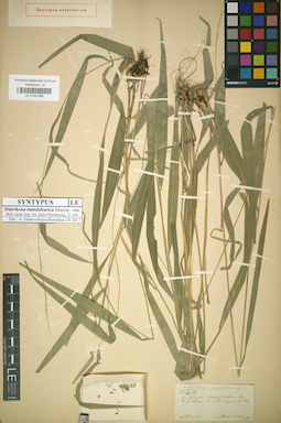 LE 01031066