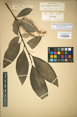 LE 01031067