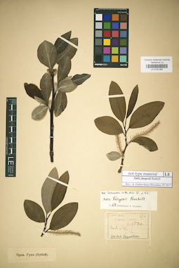 LE 01031068