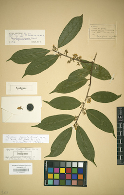 LE 01031072