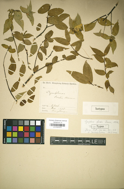 LE 01031073