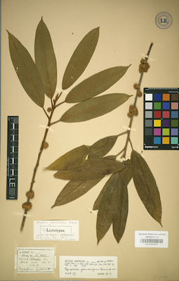 LE 01031074