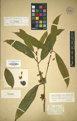 LE 01031075