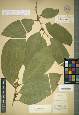 LE 01031076