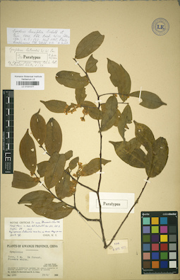 LE 01031077