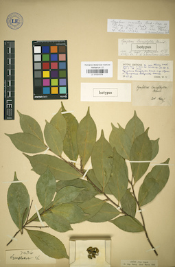 LE 01031078