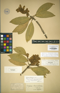 LE 01031079