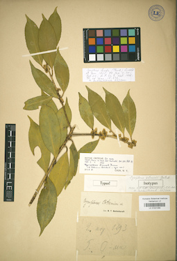 LE 01031089