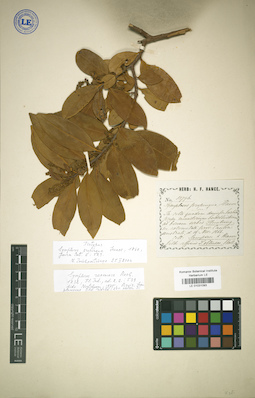 LE 01031093
