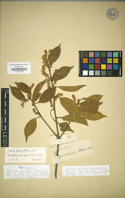 LE 01031094