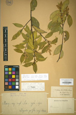 LE 01031097