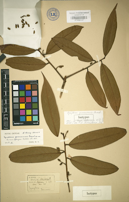 LE 01031107