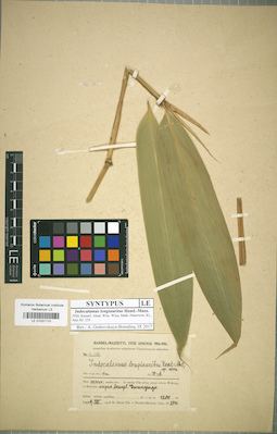 LE 01031110