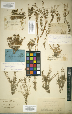 LE 01031145