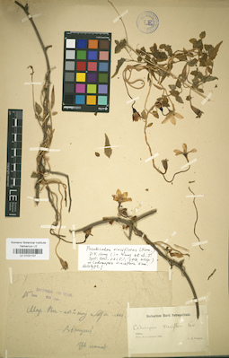 LE 01031147
