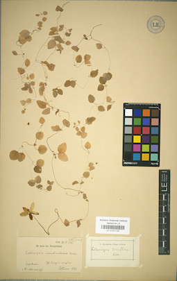 LE 01031148