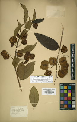 LE 01031183