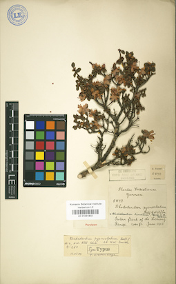 LE 01031802