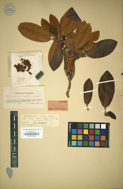 LE 01031805