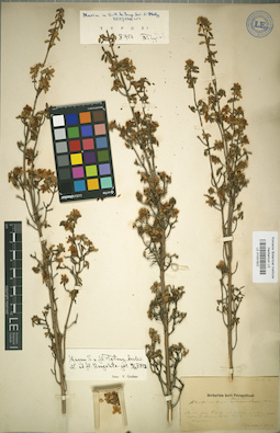 LE 01031822