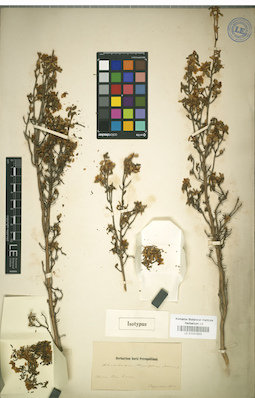 LE 01031823