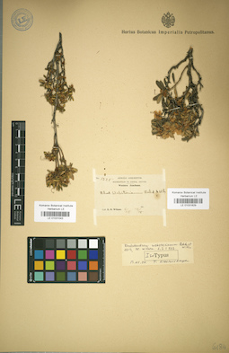 LE 01031829