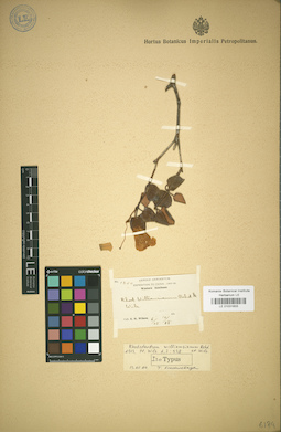 LE 01031833