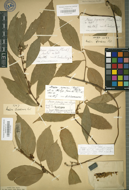 LE 01031901