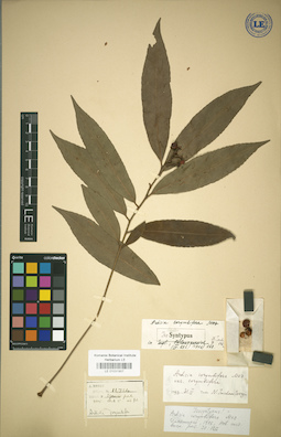 LE 01031907