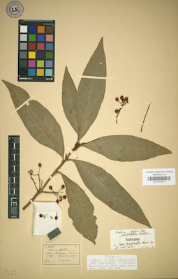 LE 01031910