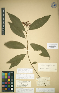 LE 01031920